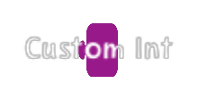 Custom Int code block in the MagiCats editor
