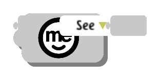 Can See code block in the MagiCats editor