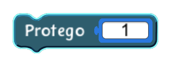Protego code block in the MagiCats editor